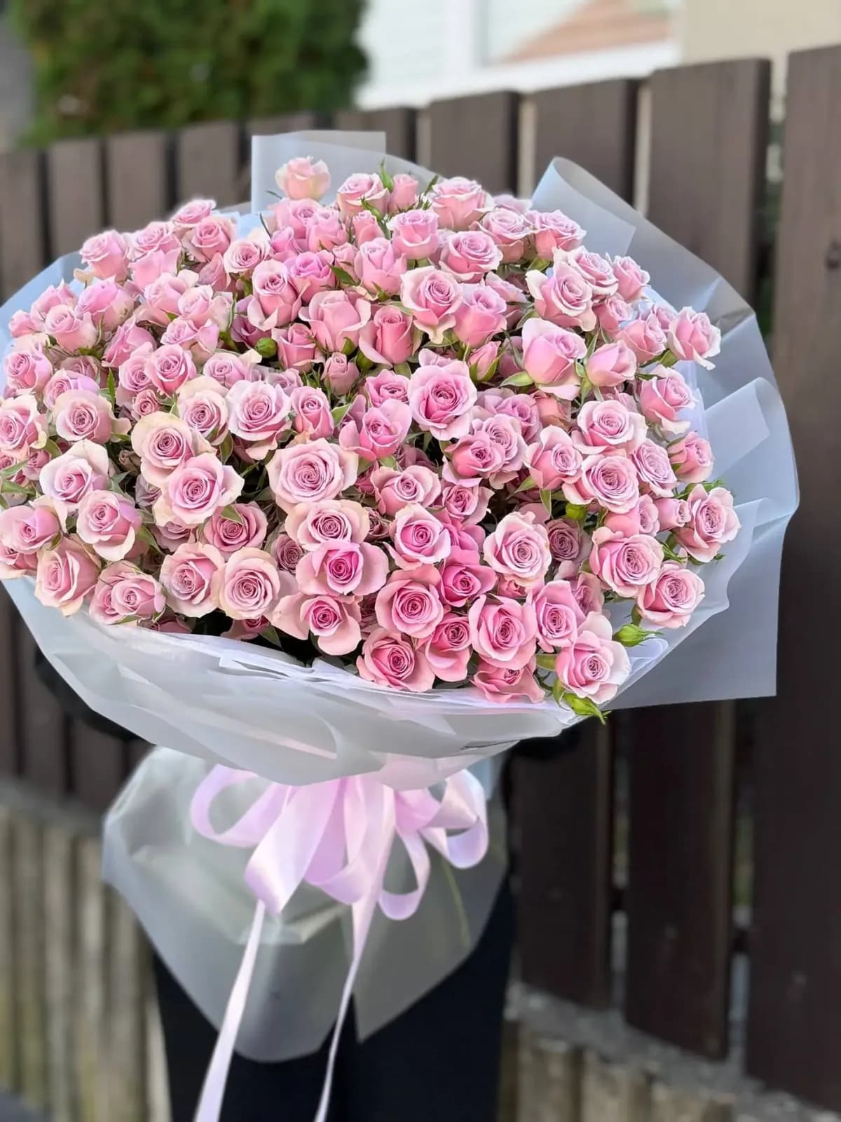 Pink Champagne